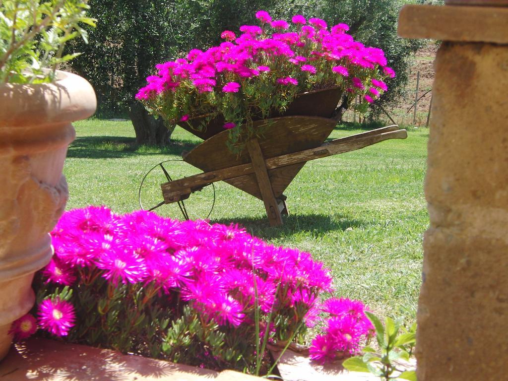 Locanda Degli Etruschi Montalto di Castro Szoba fotó