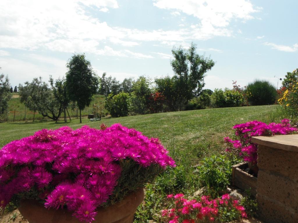 Locanda Degli Etruschi Montalto di Castro Kültér fotó