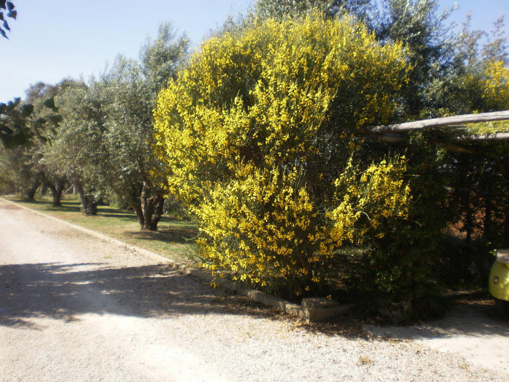 Locanda Degli Etruschi Montalto di Castro Kültér fotó