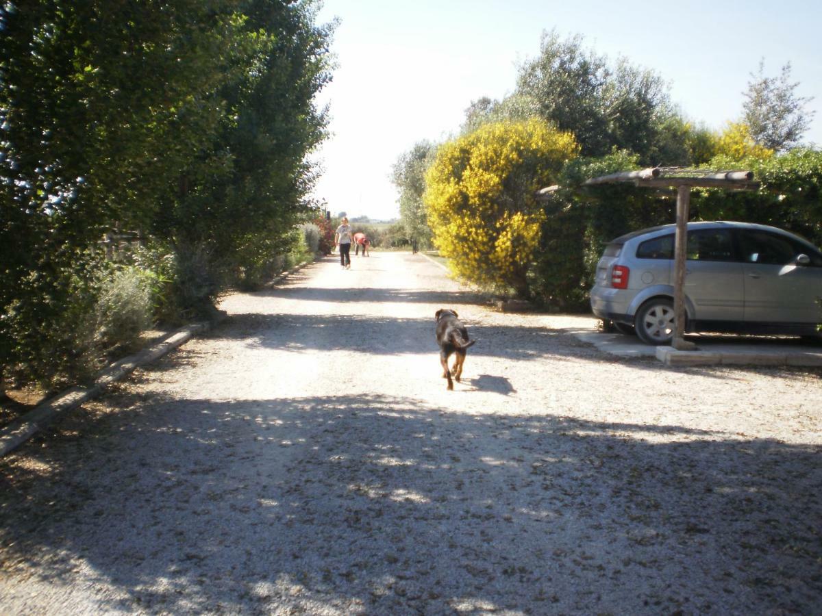Locanda Degli Etruschi Montalto di Castro Kültér fotó